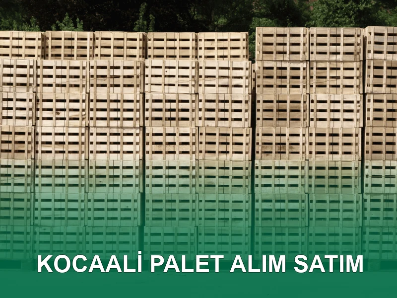 Kocaali Palet Galeri 3