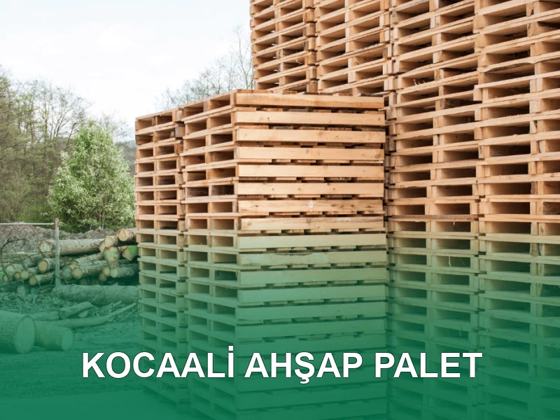 Kocaali Palet Galeri 4