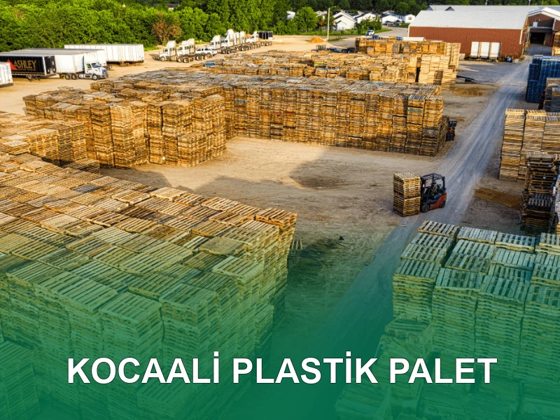 Kocaali Palet Galeri 6