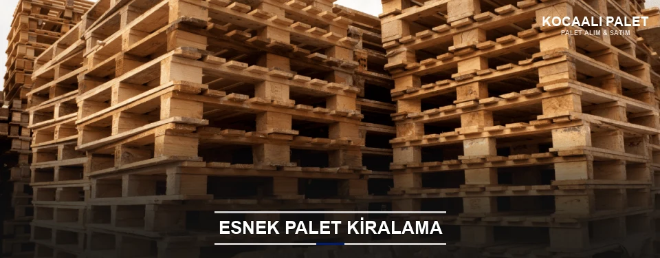 Kocaali Uygun Fiyatlı Palet Kiralama